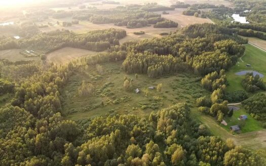 PARDUODAMAS VIENKIEMIS MIŠKO APSUPTYJE, ROKIŠKIO R. SAV., KRIAUNŲ SEN., RUKELIŲ K.