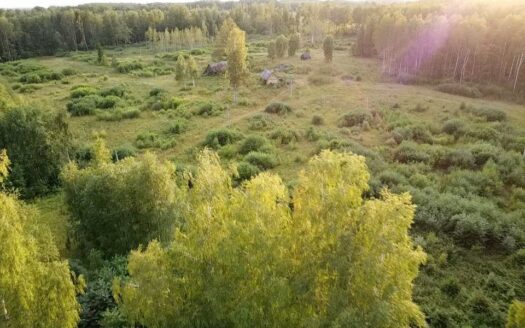PARDUODAMAS VIENKIEMIS MIŠKO APSUPTYJE, ROKIŠKIO R. SAV., KRIAUNŲ SEN., RUKELIŲ K.