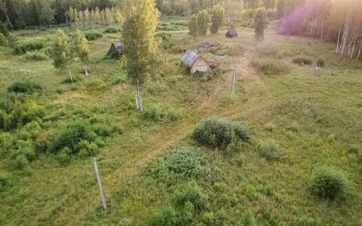 PARDUODAMAS VIENKIEMIS MIŠKO APSUPTYJE, ROKIŠKIO R. SAV., KRIAUNŲ SEN., RUKELIŲ K.