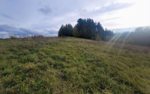 Parduodamas 1,808 ha žemės ūkio paskirties sklypas Varėnos r., Kucakiemio k., prie Sidariškių ežero.