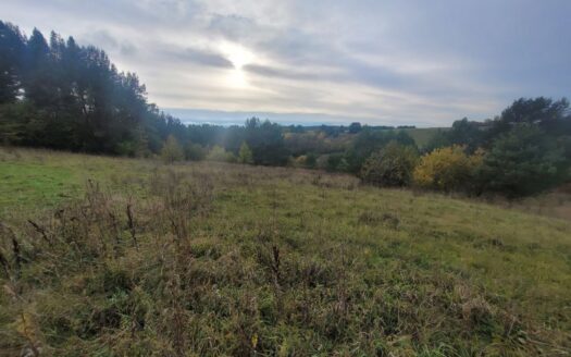 Parduodamas 1,808 ha žemės ūkio paskirties sklypas Varėnos r., Kucakiemio k., prie Sidariškių ežero.