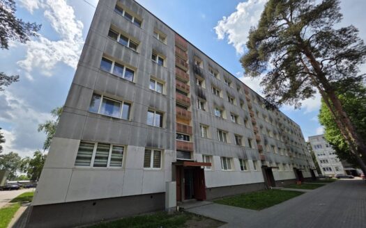 2 kambarių butas Rukloje renovuotame name